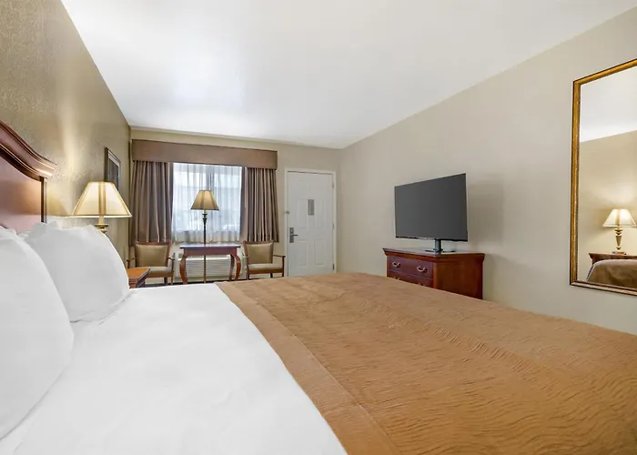 Best Western Inn Of Chandler